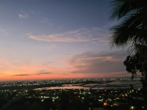 The View
